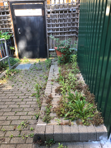 Weeds growing out from between the bricks in a raised paving area.
